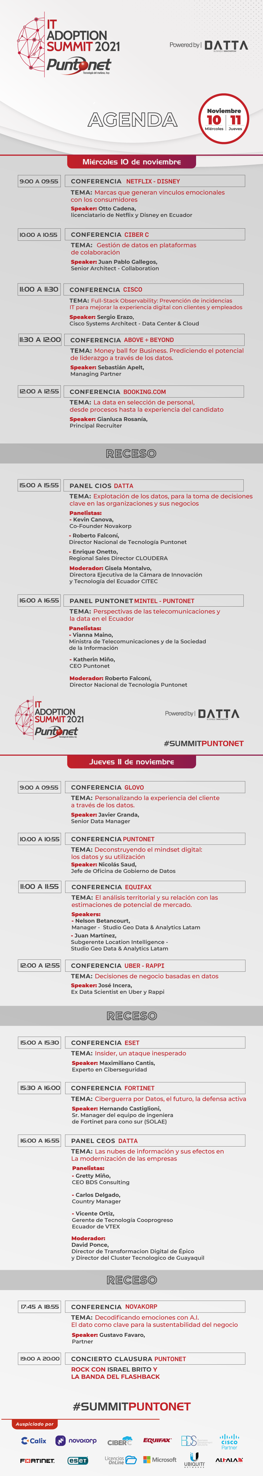 puntonet it adoption summit