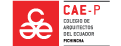 CAE - Expo Construccion 2022